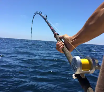 ReelBoss Strike x4 Yellow Braid Fishing Line - ReelBoss