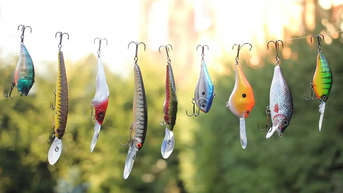 Beginners Guide: Best Lures for Flathead Fishing