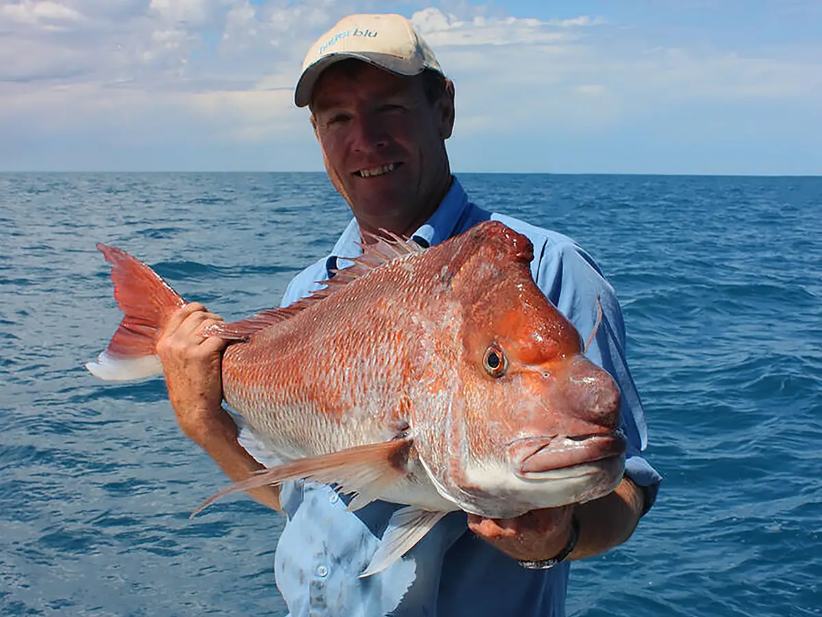 How to Catch Snapper: The Best Guide for Beginners in 2024