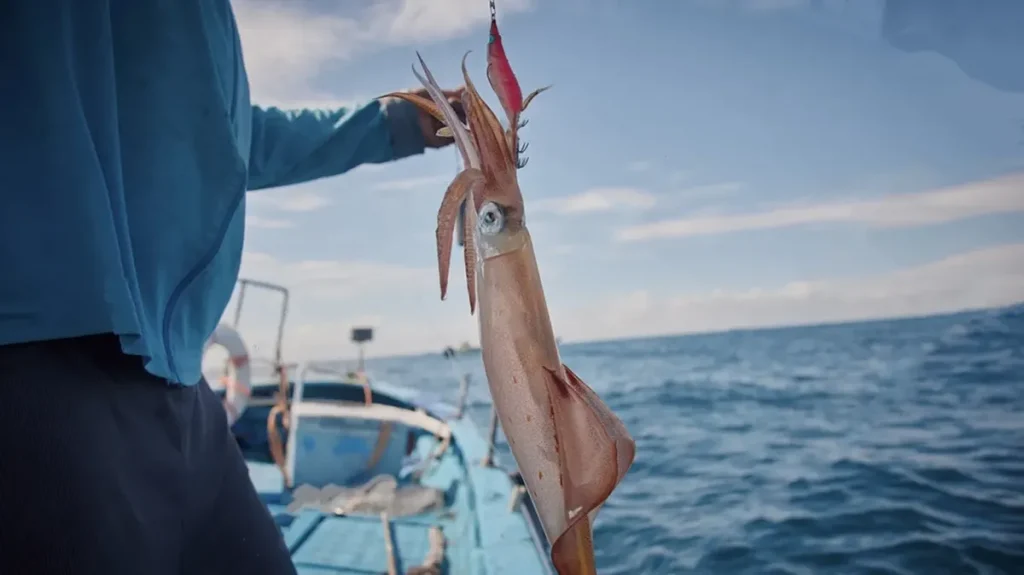 an angler holding a successful catch of squid