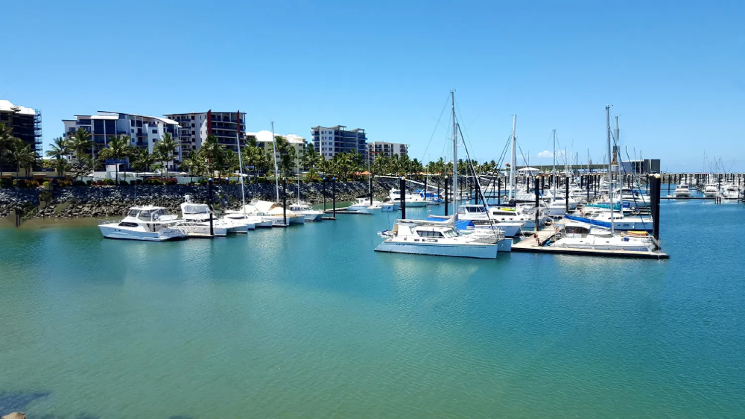 Queensland Fish Species: The Top 5 Must-Catch Fish for Anglers  6 The State of Queensland