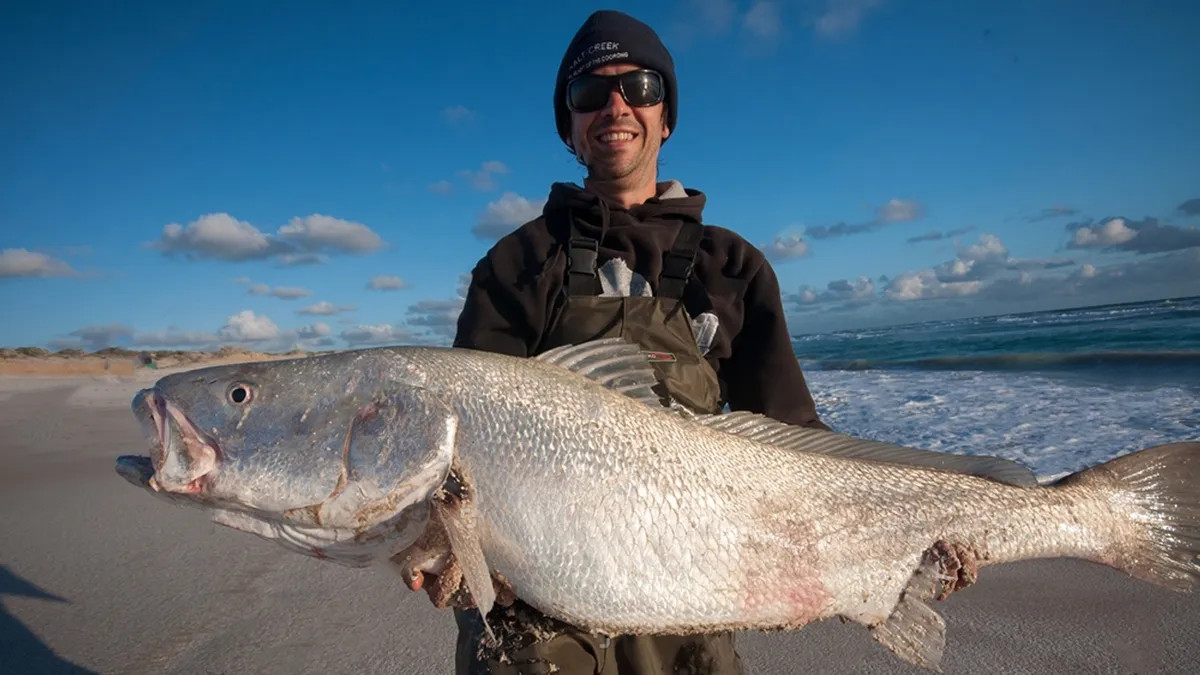 How to Catch Mulloway: Tips and Techniques for Successful Fishing  9 Proud angler with a stunning mulloway catch!